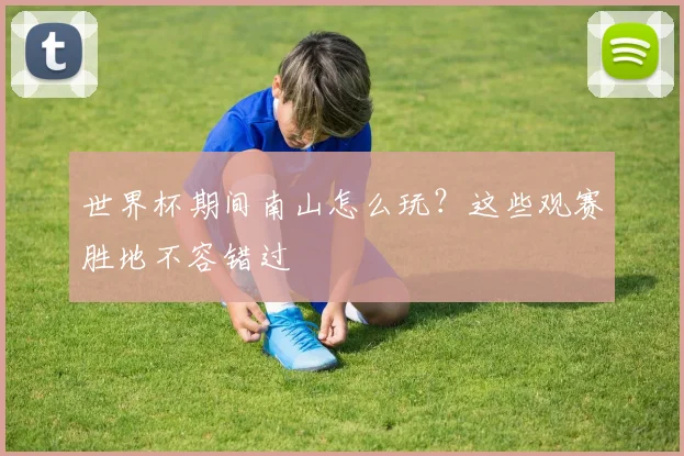 世界杯期间南山怎么玩？这些观赛胜地不容错过