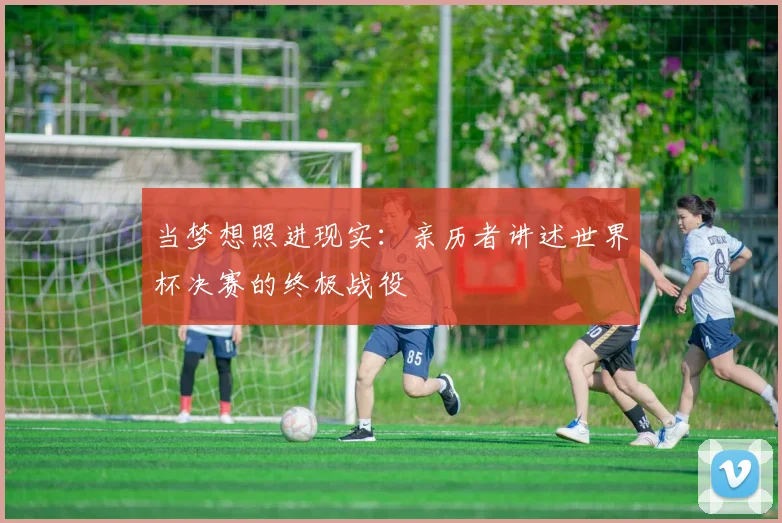 当梦想照进现实：亲历者讲述世界杯决赛的终极战役