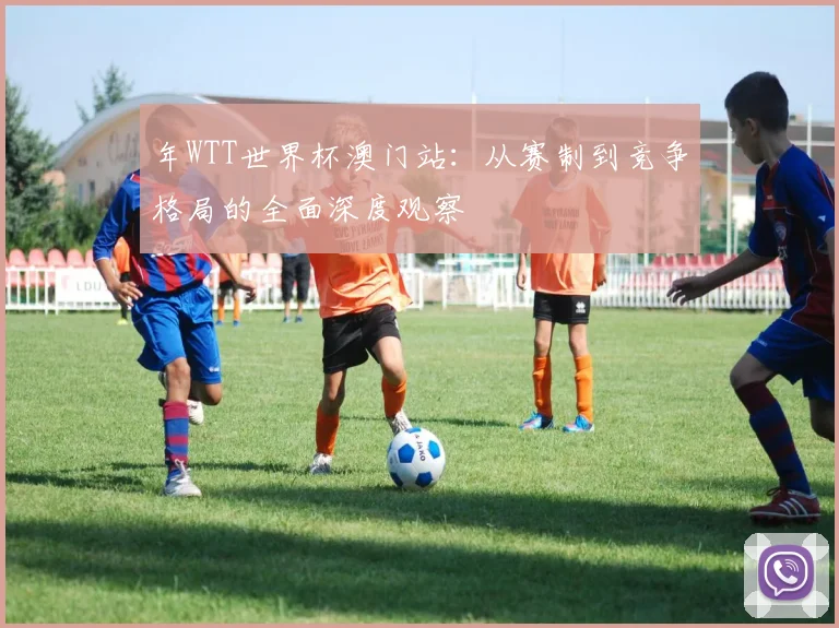 年WTT世界杯澳门站:从赛制到竞争格局的全面深度观察