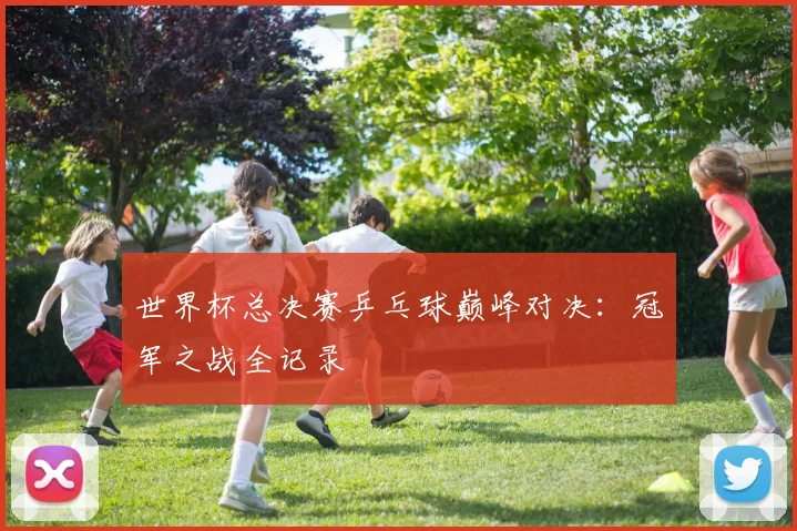 世界杯总决赛乒乓球巅峰对决:冠军之战全记录