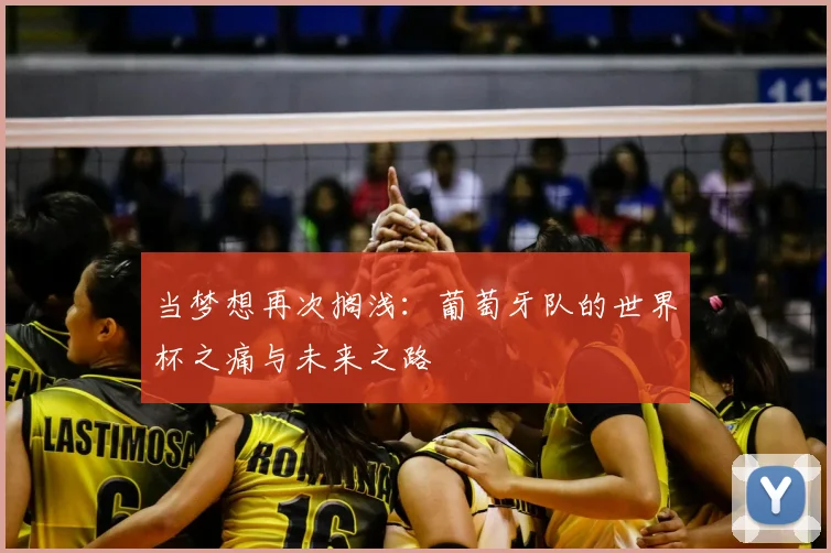 当梦想再次搁浅：葡萄牙队的世界杯之痛与未来之路