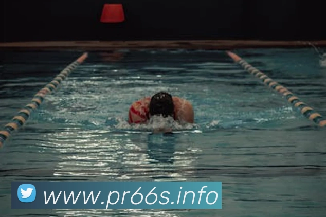 九游网站入口平台生态图